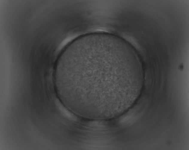X0000091551404200708311344