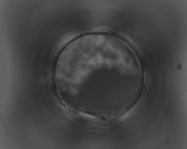 X0000091551405200708311344