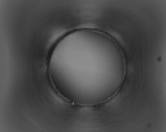 X0000091551406200708311344