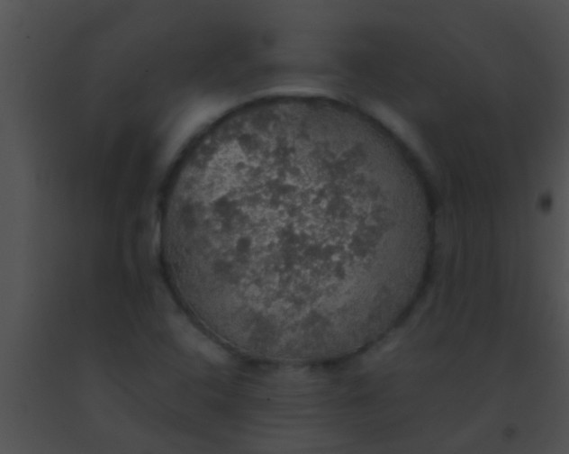 X0000091551408200708311344
