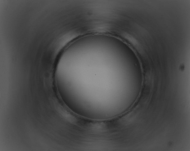 X0000091551410200708311344