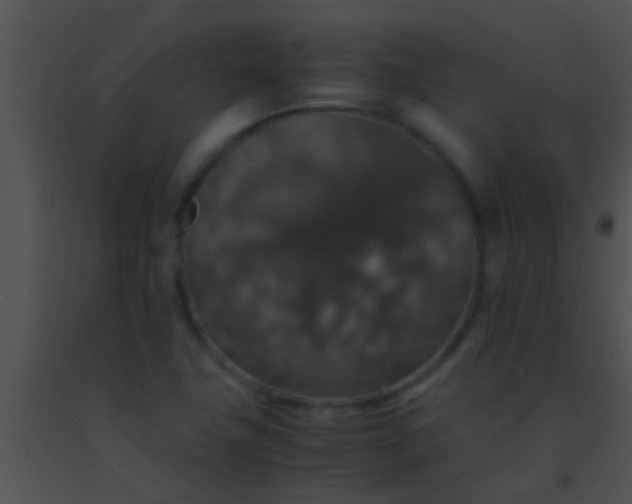 X0000091551411200708311344
