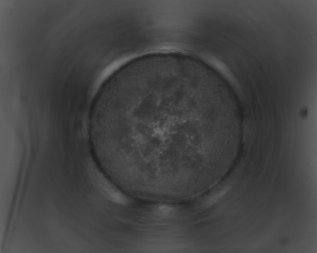 X0000091551412200708311344