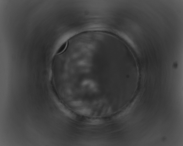 X0000091551413200708311344