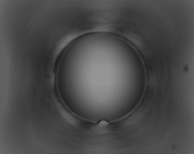 X0000091551414200708311344