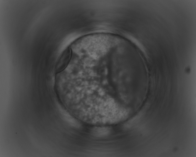 X0000091551415200708311344