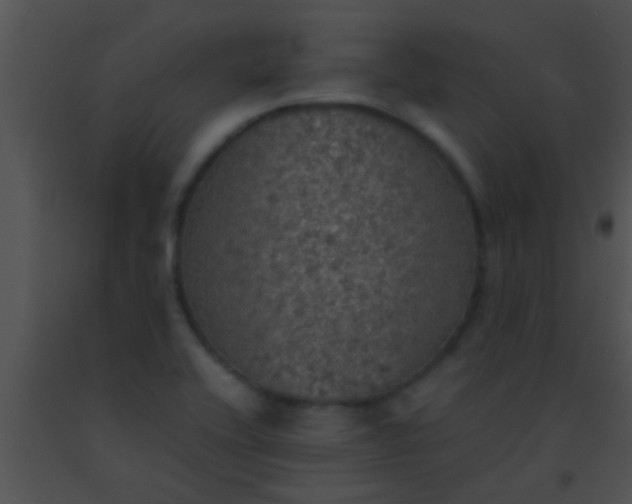 X0000091551416200708311344