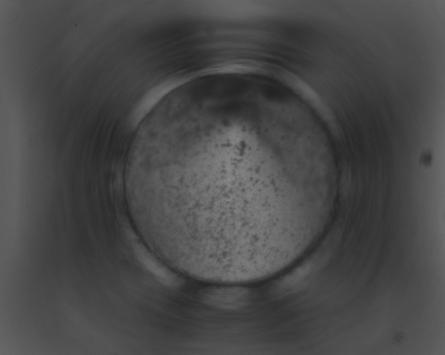 X0000091551417200708311344