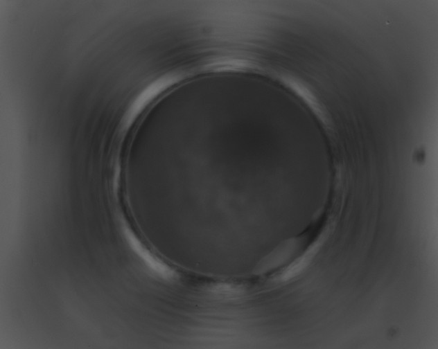 X0000091551418200708311344