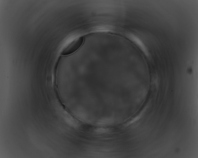 X0000091551419200708311344