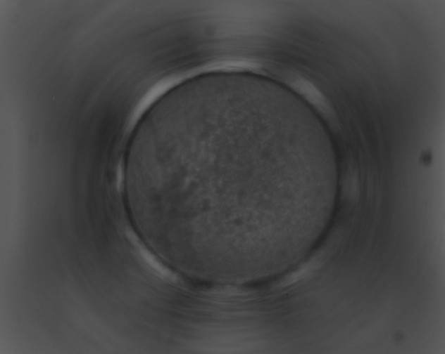 X0000091551420200708311344