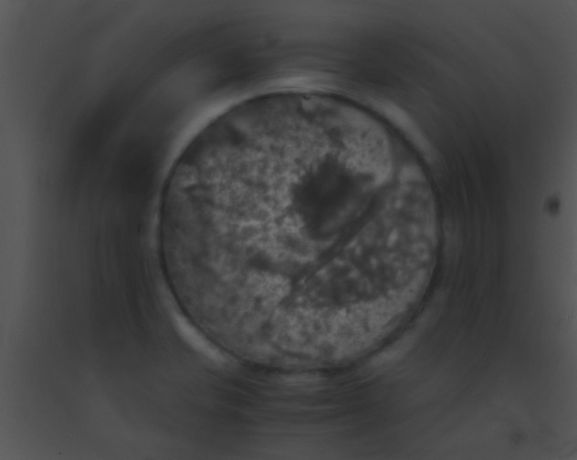 X0000091551421200708311344
