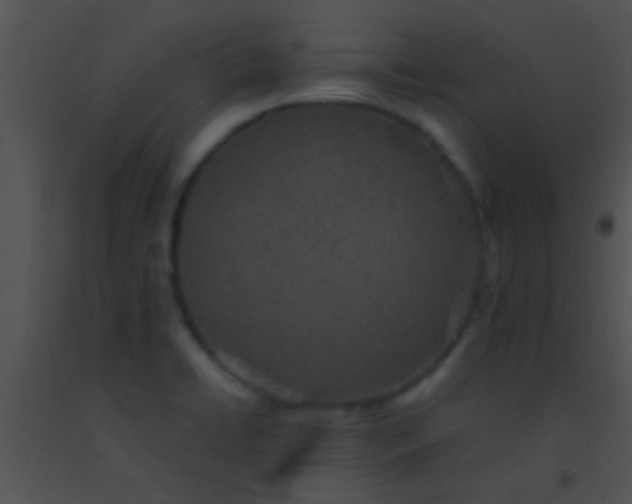 X0000091551422200708311344