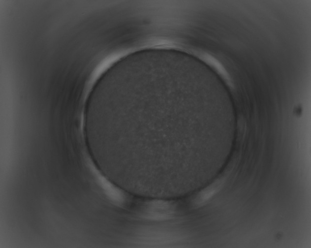 X0000091551424200708311344