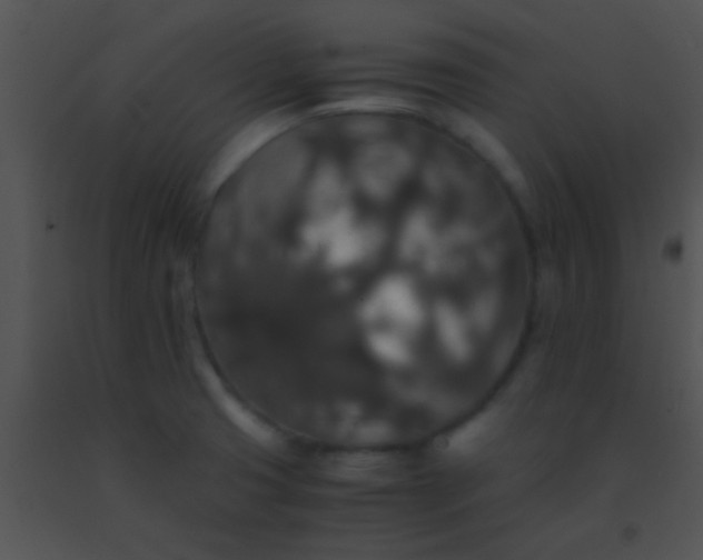 X0000091551425200708311344