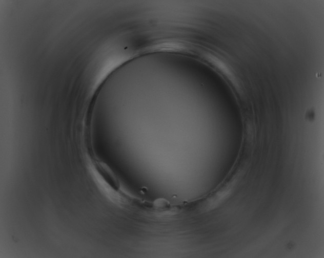 X0000091551426200708311344