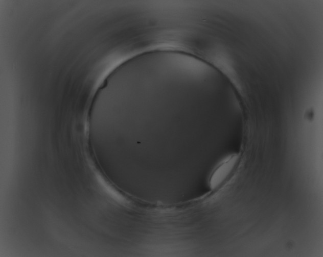X0000091551428200708311344