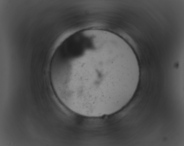 X0000091551429200708311344