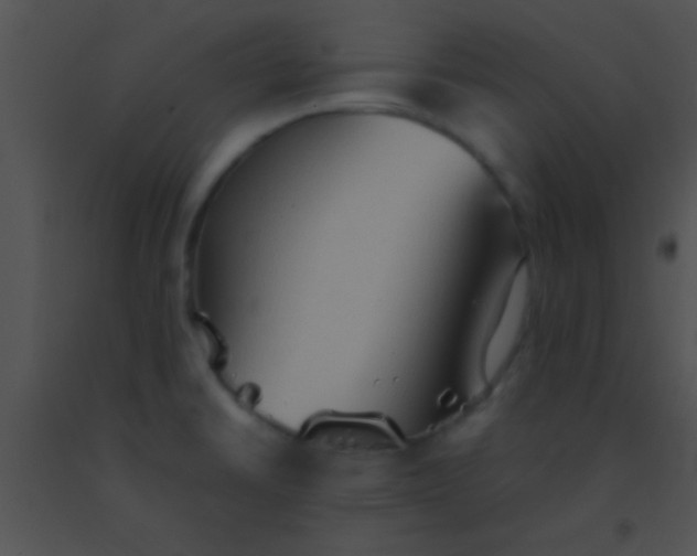 X0000091551430200708311344