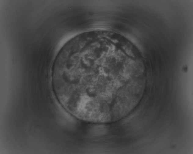 X0000091551431200708311344
