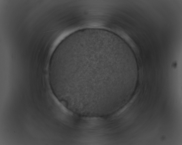 X0000091551432200708311344