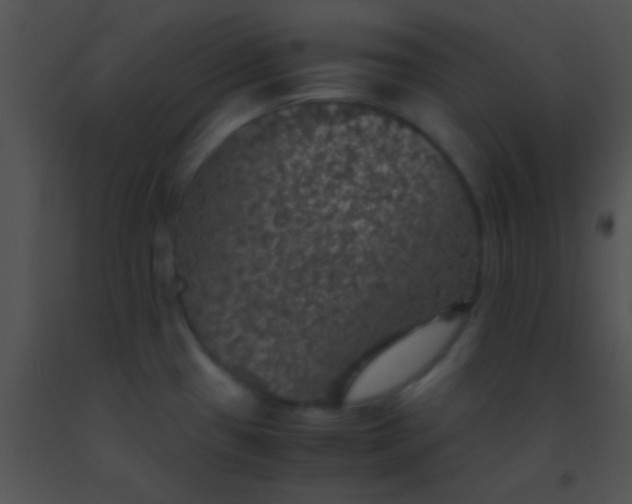 X0000091551433200708311344
