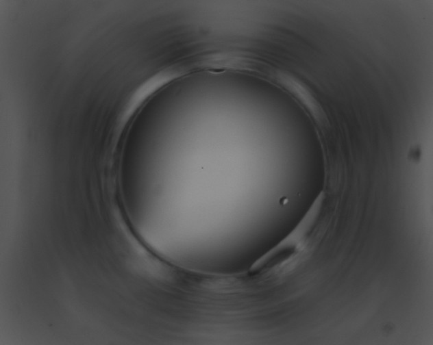 X0000091551434200708311344