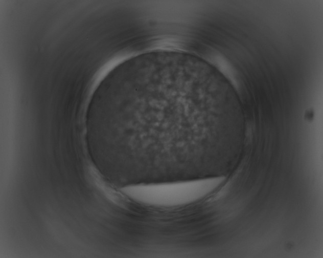 X0000091551435200708311344
