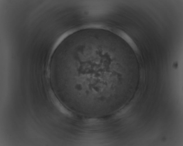 X0000091551436200708311344