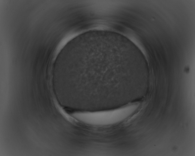 X0000091551437200708311344