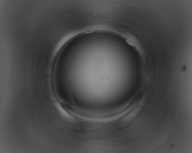 X0000091551438200708311344