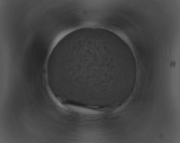 X0000091551440200708311344
