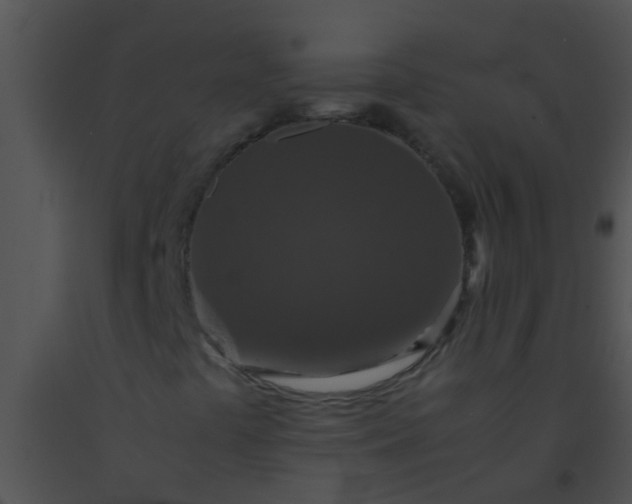 X0000091551441200708311344