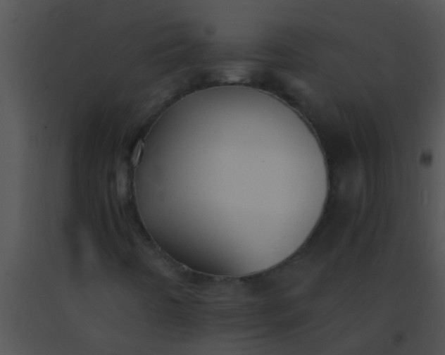 X0000091551442200708311344