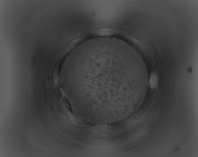 X0000091551444200708311344
