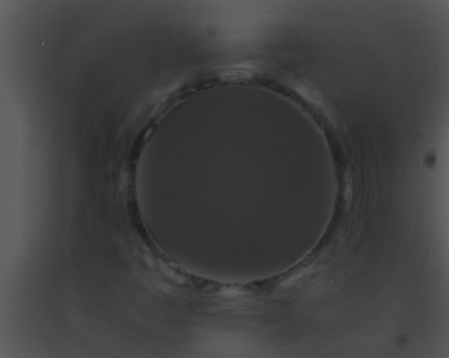 X0000091551445200708311344