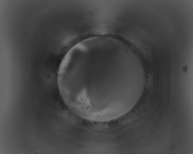 X0000091551446200708311344