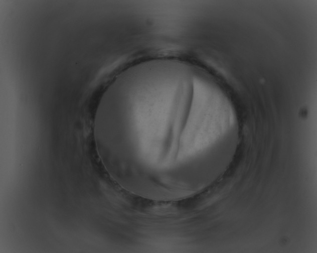 X0000091551447200708311344