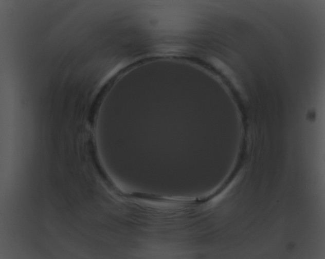 X0000091551449200708311344