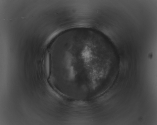 X0000091551450200708311344