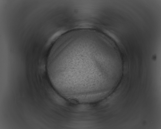 X0000091551451200708311344