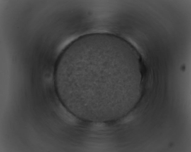 X0000091551452200708311344
