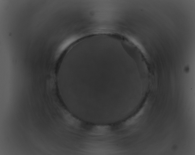 X0000091551453200708311344