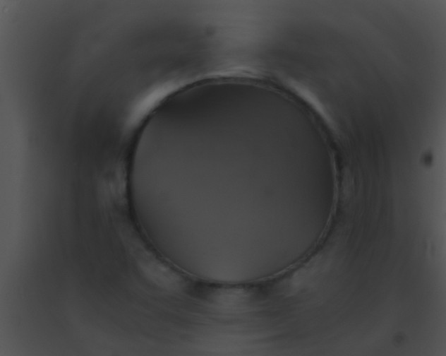 X0000091551455200708311344