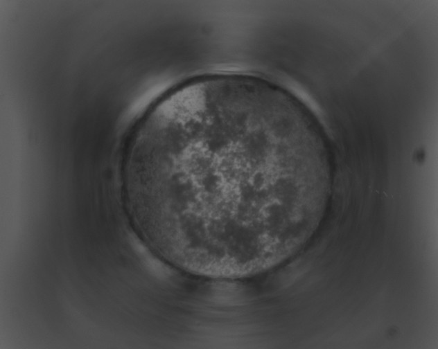 X0000091551456200708311344