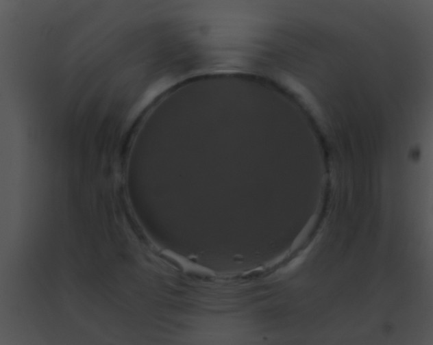 X0000091551457200708311344