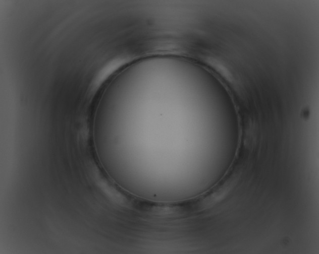 X0000091551458200708311343