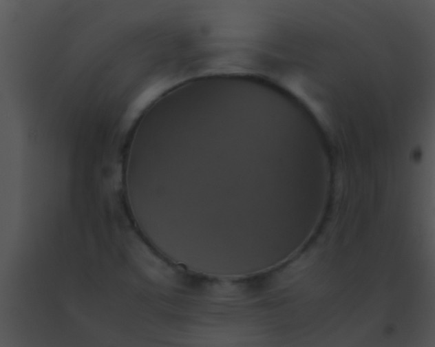 X0000091551459200708311343