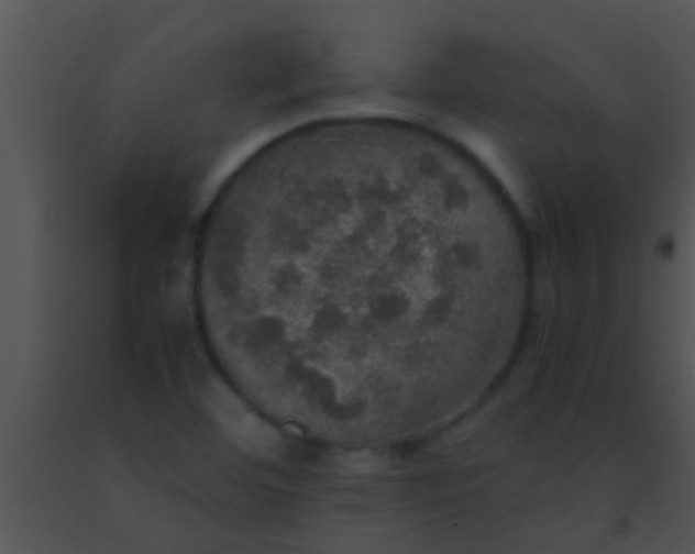 X0000091551460200708311343