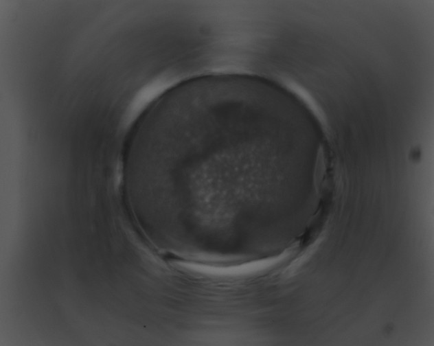 X0000091551461200708311343